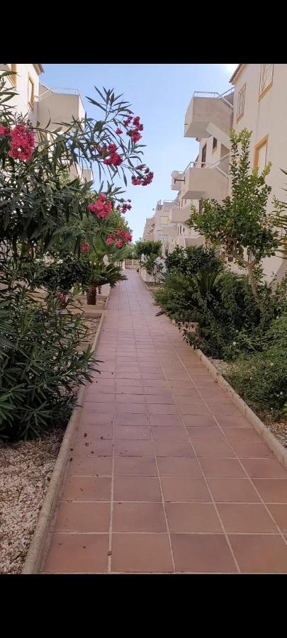 Apartamento Bajo Con Terraza Y Piscina Torrevieja Exterior photo